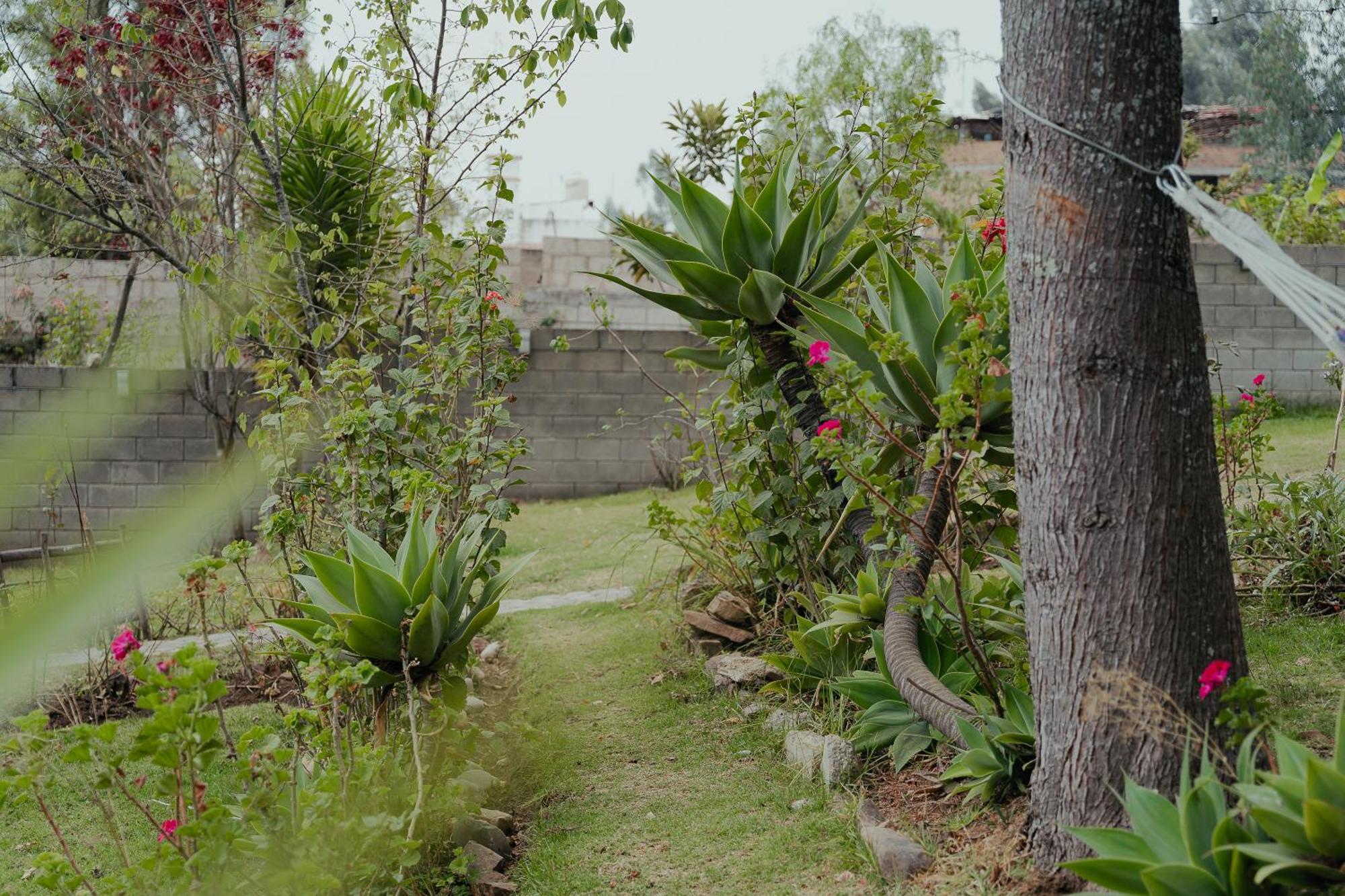 Kinti Wasi Casa De Campo Hospedaje Los Banos del Inca Luaran gambar